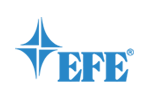 EFE logo